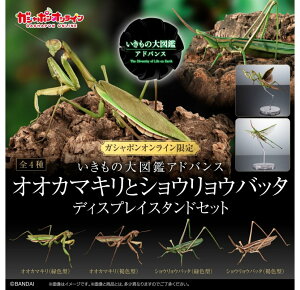 o_C ̑}ӃAhoX IIJ}LƃVEEob^ fBXvCX^hZbg S4Zbg