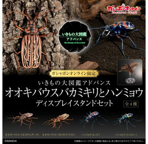 o_C ̑}ӃAhoX IILoEXoJ~Lƃn~E fBXvCX^hZbg S4Zbg