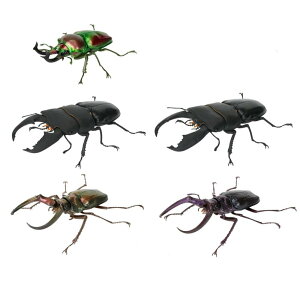 o_C ̑} 킪10 ijZbg jWCNK^ibhjE匂Ȃ 5Zbg