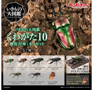 o_C ̑} 킪10 ijZbg S7Zbg