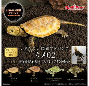 o_C ̑}ӃAhoX J02ΕtΌ^fBXvCX^hZbg S4Zbg