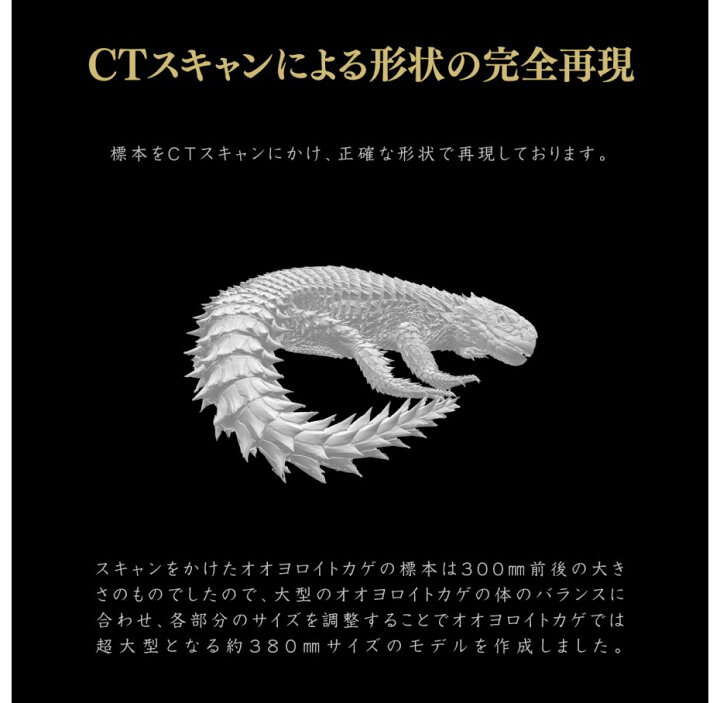 いきもの大図鑑アルティメット オオヨロイトカゲ 輸送箱未開封 伝票貼 