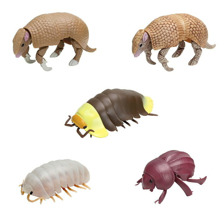 楽天市場 バンダイ ガシャポン いきもの大図鑑 だんごむし08 だんごむしとミツオビアルマジロ 全５種セット 四季の宝箱