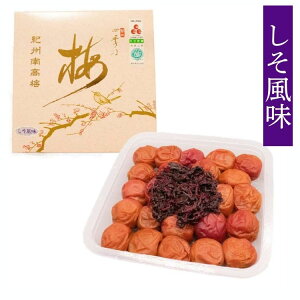 IBlG̔~{ IBlG̔~  500g 6%