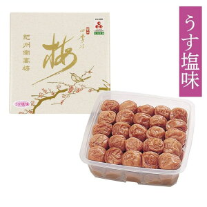 IBlG̔~{ IBlG̔~  1kg 6%