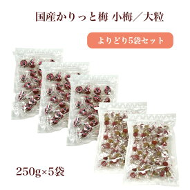 国産かりっと梅 小梅／大粒 よりどり5袋セット（250g×5袋）