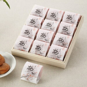 IBlG̔~{ IB썂~ ~J 12