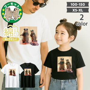 NR[f }[bgtVc fB[X Y LbY100% eqR[f TVc 킢 }[bgObY tVc q ܁[tVc fUCTVc OtBbNTVc