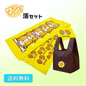 5OFFI10/30yVizZbg tFCX^I2 GRobO ^InJ` 4_Zbg   