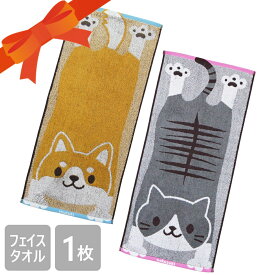 フェイスタオル キャラクター のびしば のびねこ 34×75cm 猫柄 タオル かわいい グッズ プレゼント 綿100％ ジャガード織 小学生 幼稚園 保育園 こども キッズ しばいぬ いぬすき ねこ ねこすき