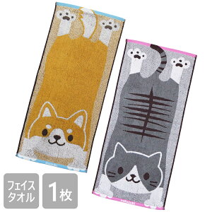 q3%OFFI10/9ryz tFCX^I LN^[ ̂т ̂т˂ 34×75cm L ^I 킢 ObY v[g 100 WK[hD w ct ۈ牀 ǂ LbY 