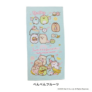 yViz ݂R炵 oX^I 60×120cm 킢 LN^[ LN^[ObY 100 w ct ۈ牀 ǂ LbY tFCX^I LN^[