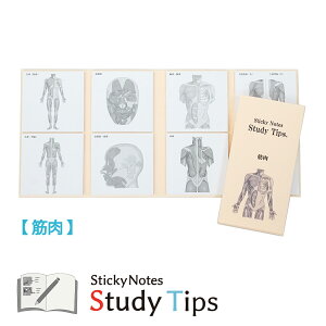 l̕t yؓz Sticky Notes Study Tips X^fB`bvX X^`v ؓ 炾̂ Uw   w  ׋ ؃g ؓ Sg \   w ㎈  w a@