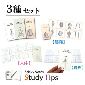 �l�̕t�-3��Z�b�g �y�l�́z�y���i�z�y�ؓ��z Sticky Notes Study Tips ��ÃZ�b�g �X�^�f�B�`�b�v�X �X�^�`�v ��U�����w ���炾�̂��� ���� ���� ��w �� �׋� �� �؃g�� ��w�� �a�@ �ڍ��@ 