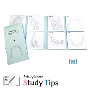 ��Õt� �y���z Sticky Notes Study Tips �X�^�f�B�`�b�v�X �X�^�`�v �� ���ȉq���m ���Ȉ� ����� ���ȏ��� ���Ȋw�� ���w�Z ���o �� ���� �H�� �����g�D ��{ ���{ �_�o ���� ���� ��w ��U����