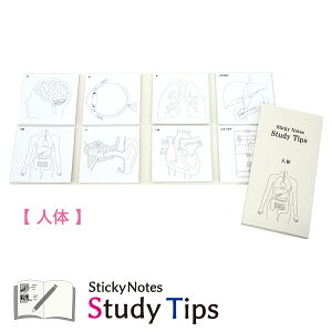�l�̕t� �y�l�́z Sticky Notes Study Tips �X�^�f�B�`�b�v�X �X�^�`�v �l�� �g�� ���炾�̂��� ���� ���� �� �׋� �� �� �㕠������ ���� ���t �z�� �] �x �S�� ��w�� �a�@ �Ō� ���� �w�K �m�[