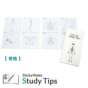 l̕t yiz Sticky Notes Study Tips X^fB`bvX X^`v i 炾̂   w Uw  ׋ W Ғ  s ㎈  w a@ Ō  m[g 