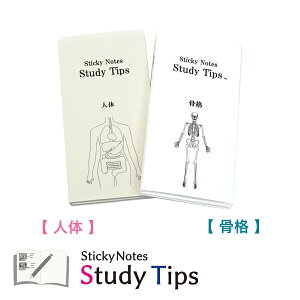 �l�̕t�-2��Z�b�g �y�l�́z�y���i�z Sticky Notes Study Tips �X�^�f�B�`�b�v�X �X�^�`�v �l�� �g�� ���� ���炾�̂��� ��U�����w ���� �� �׋� ��w�� �a�@ �Ō� �w�K �m�[�g ���p�I �t� ��