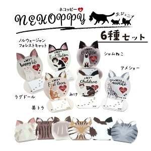 яoLt-6Zbg NEKO-ppyJr. lRbs[WjA яo lRObY L lR  킢 t ӂ   [ g ݂ AV[ Oh[ V˂ mE