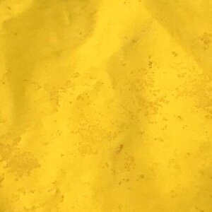 p[痿pE_[ TCgCG[ F RF q W lC RNr nhCh  F F J[pE_[ F WF