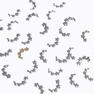 i10Zbgjꐯ̃^p[cC Vo[ X^[ W F   lC fR nhCh