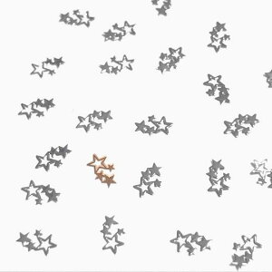 i10Zbgjꐯ̃^p[cB Vo[ X^[ W F   lC fR nhCh