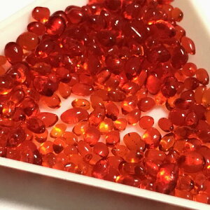 i10gjbh OXO[ KX̗ W   F IW p[c nhCh lC p[c nhCh ISiCg VJVJ WANZT[