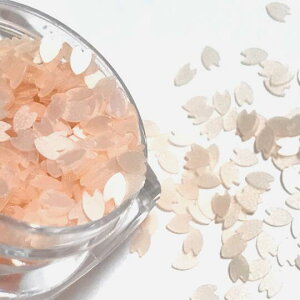 ̉Ԃт̃zON IW NA 1g WF lC W `F[ubT TN t`[t t[ ԕ a a`[t p[c nhCh