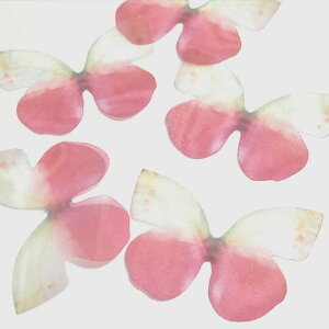 i2Zbgj̃VtH`[tC  `E o^tC bh CgO[    a a`[t |p[c nhCh W WANZT[