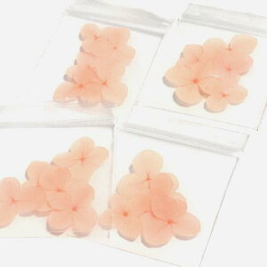 i5jzA AWTC hCt[ IWsN F  W lC p[c nhCh vU[uht[