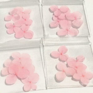 i5jzE AWTC hCt[ CgsN F W lC p[c nhCh vU[uht[