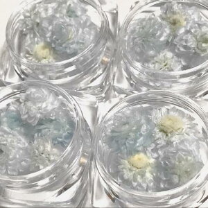 i4֓jC[eS W    vU[uht[ hCt[ Cgu[ F nhCh n[oE