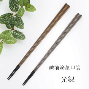 zOh Tb  TSUCHINAO -Ȃ- y 24cm/22.5cm //yA Ol yY  h h蔢  S S VR j av[g  O hV̓ aG lGʓ