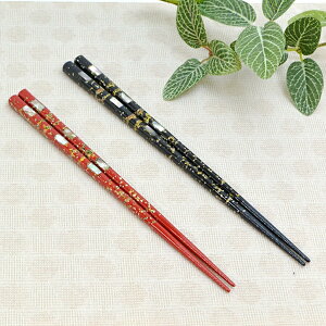 ዷh  㓪 イ //yA Ȃ 蕨 uh  j `Hi ϋv  v[g 蕨 Mtg j hV̓蕨 hV