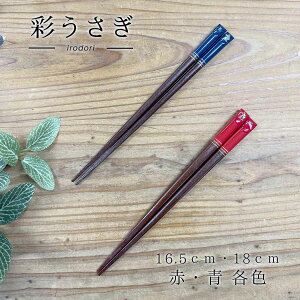 ʂ 16.5cm/18cm ԐF/F e ꂠ/Ȃ  q VR  c  ؐ ͂ LbY  {  w aG lGʓ