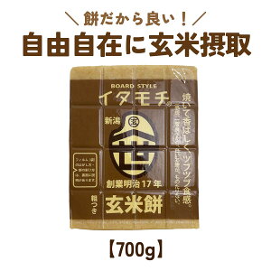 Ė C^` npX̌Ė 700g  V Hׂ₷ ԂԐH ^pbN  킽 ɂ   VY Y Y100 aG lGʓ