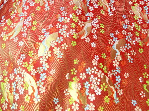  w  an E ͂ ؔ ̔  Y {  {70cm×50cm 50cm ԋ