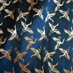  w  an E ͂ ؔ ̔  Y {  {70cm×50cm 50cm  