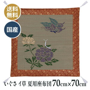 ėp  C COT dzc d O @ @v a ~ p zc Y {  Oɒ 70×70cm