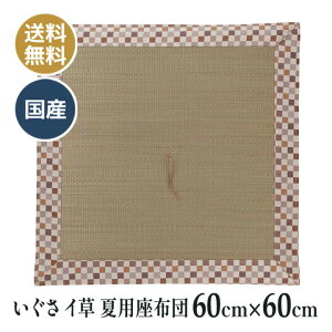 ėp  C COT dzc d O @ @v a ~ p zc Y {  o[Vu J[  60×60cm