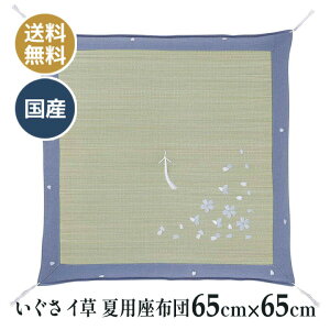 ėp  C COT dzc d O @ @v a ~ p zc Y {  ؂̕ 65×65cm