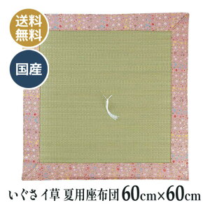 ėp  C COT dzc d O @ @v a ~ p zc Y {  O sN 60×60cm