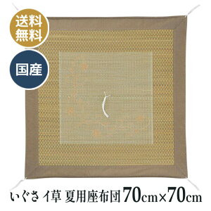 ėp  C COT dzc d O @ @v a ~ p zc Y {  ԉ 70×70cm o[Vu tD