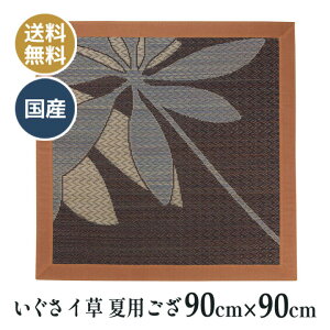 ėp  C COT dSU d O @ @v a ~ p zc Y {  G؂ 90×90cm