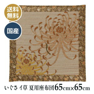 ėp  C COT dzc d O @ @v a ~ p zc Y {  o[Xue i[΁j 65×65cm
