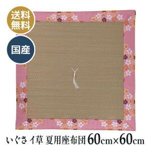 ėp  C COT dzc d O @ @v a ~ p zc Y {  Vї sN 60×60cm