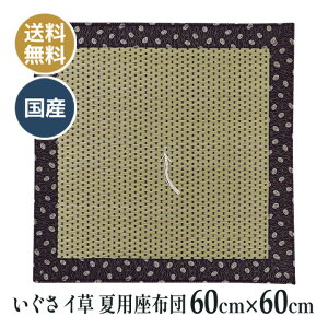 ėp  C COT dzc d O @ @v a ~ p zc Y {    60×60cm