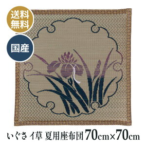 ėp  C COT dzc d O @ @v a ~ p zc Y {  Ⴀ 70×70cm