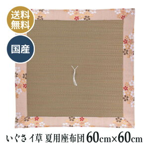 ėp  C COT dzc d O @ @v a ~ p zc Y {  Vї  60×60cm