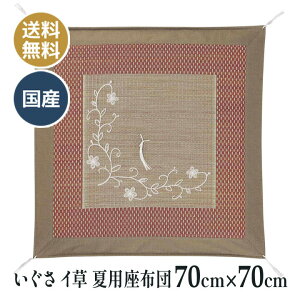 ėp  C COT dzc d O @ @v a ~ p zc Y {  ԉ D 70×70cm